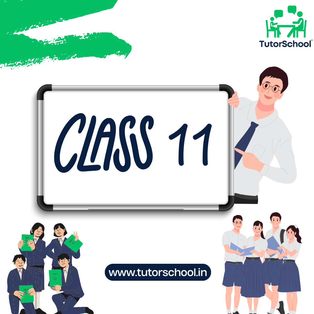 class 11