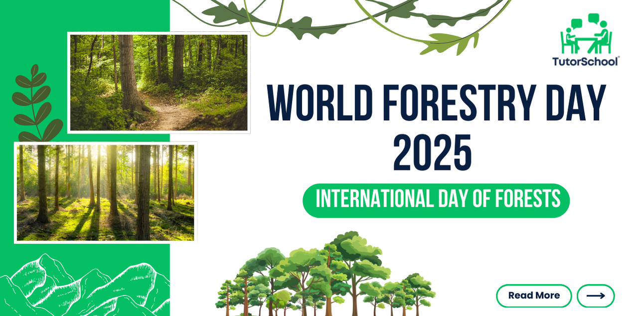 International Day Of Forests